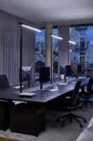 Mito linear