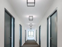 REFLEX2